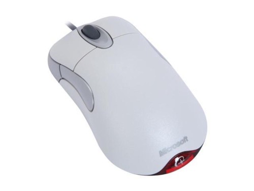 rat1.jpg