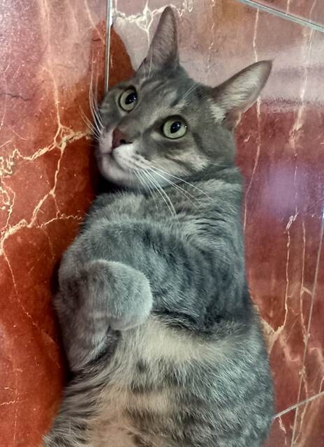 366812373_678685010949976_5736476764035235961_n.jp