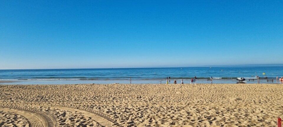 praia da rocha 2 setembro 2024 09h00.jpeg