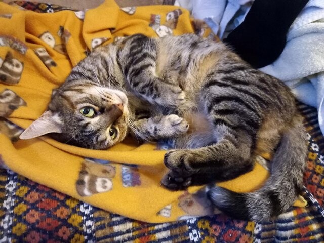 313417870_491138679704611_5024652337270638810_n.jp