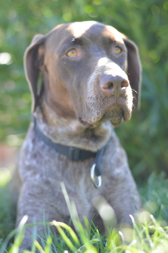 DSC_0667.JPG