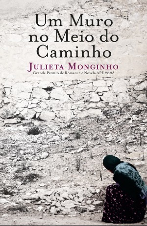 Um Muro no meio do Caminho.jpeg