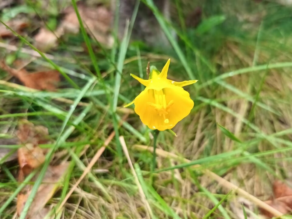 Não me canso disto inverno 2.jpg