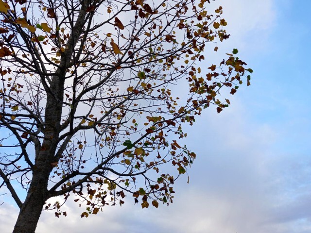 1000023304 - Cópia.jpg