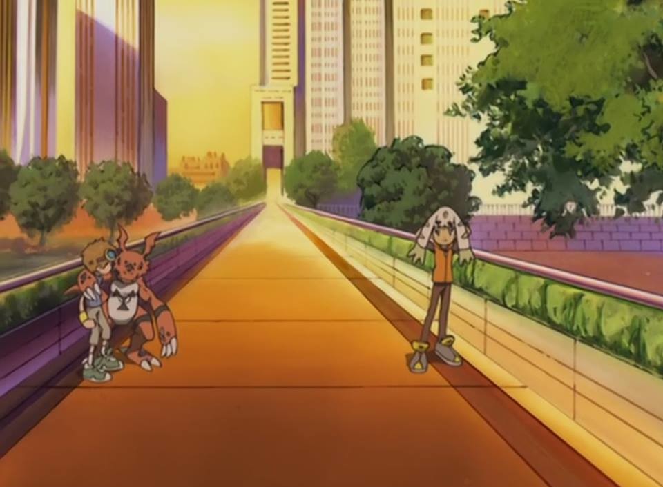 43221053_2291401631095039_3935284241889230848_n.jp