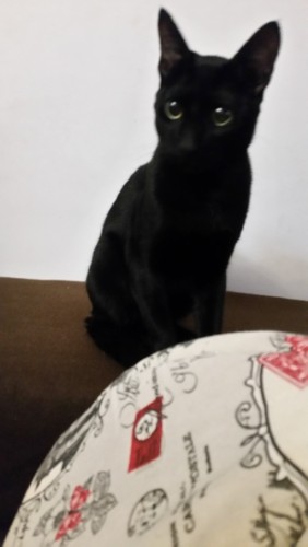 20171129_215309.jpg 20171129_215309.jpg