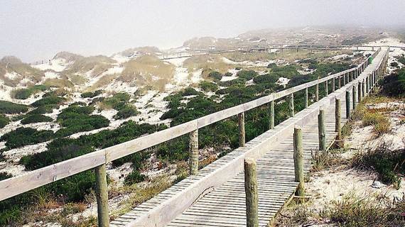 PraiasInverno_OssoBaleia.jpg