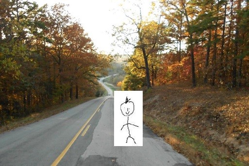 estrada.jpg