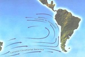 Corrente de Humboldt.jpg