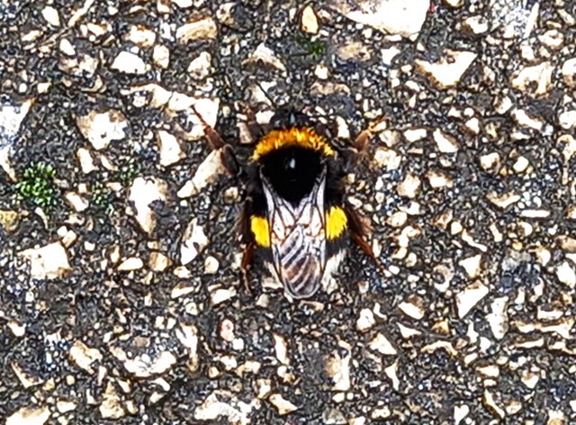 20240119_133318 - Cópia.jpg