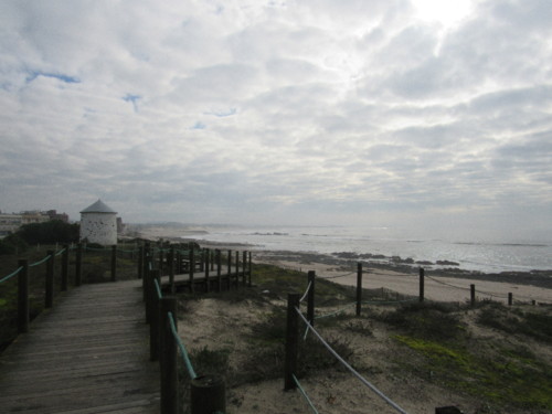 IMG_5348.JPG