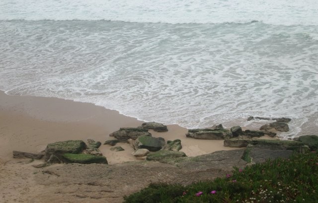 33041356_1652214261560539_3949037405775855616_o.jp