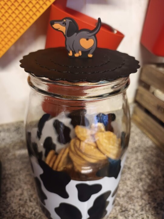 Não me canso disto.jpg