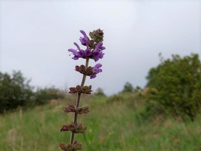 331917362_4931895800420731_7977058129174589113_n.j