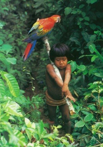 urueu-wau-wau-child-parrot-469x670.jpg