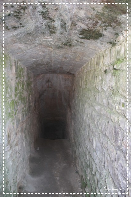image-fotor-2024031414296.png