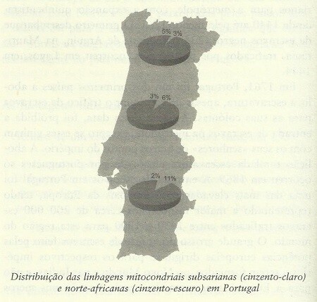 pretos1.jpg