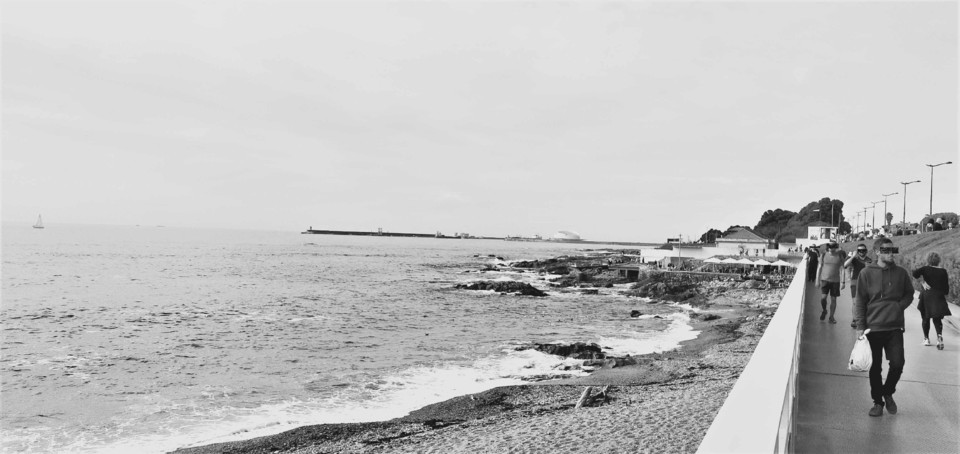 IMG20201018154756_edited.jpg IMG20201018154756_edited.jpg