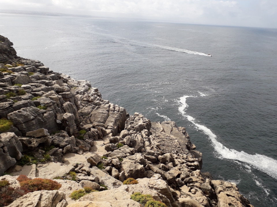 20190804_101931.jpg