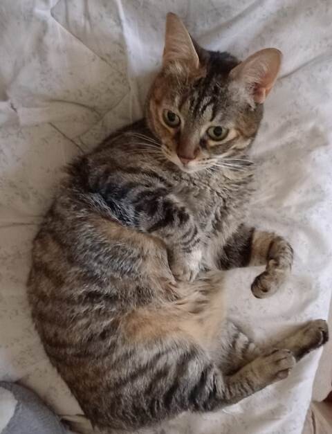 348268112_1339288929952773_1919911723074517602_n.j