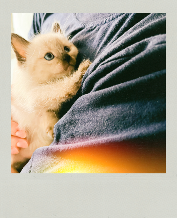 Arquivo 01-12-23, 16 47 18.jpeg Arquivo 01-12-23, 16 47 18.jpeg