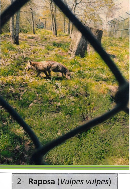 Concurso Fotografia.jpg