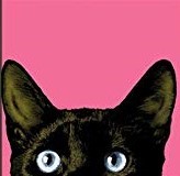 gato1.jpg