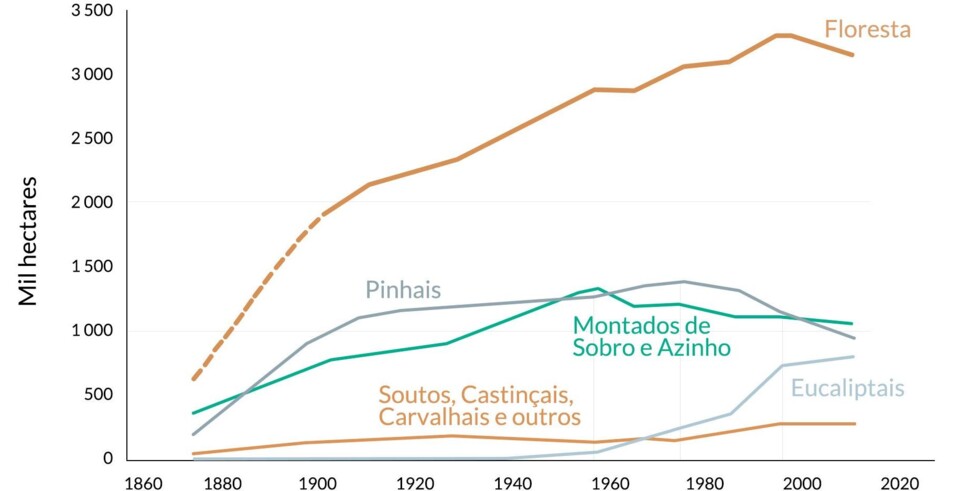 evolução-historica-da-área-de-floresta_edit-