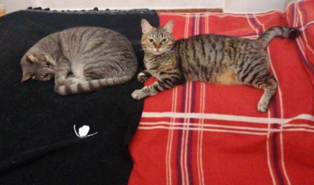 190071898_3039274156344708_6763507103127933876_n.j