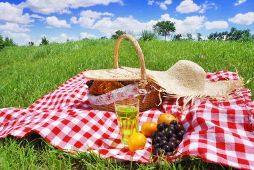 picnic1.jpg picnic1.jpg