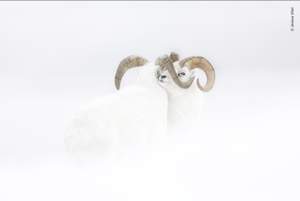 Captura de ecrã 2019-10-17, às 13.23.09.png