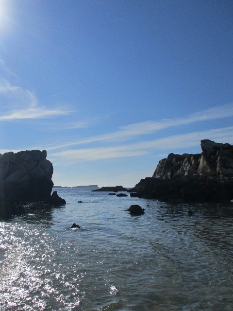 241002695_1581799708878629_4462655542781578663_n.j