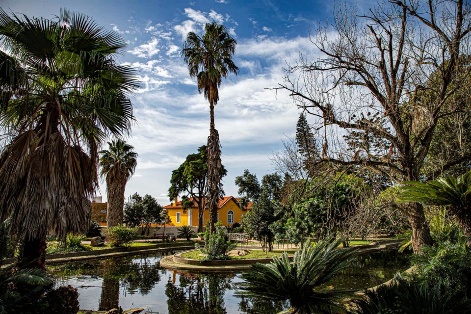 jardim-botanico- (1).jpeg