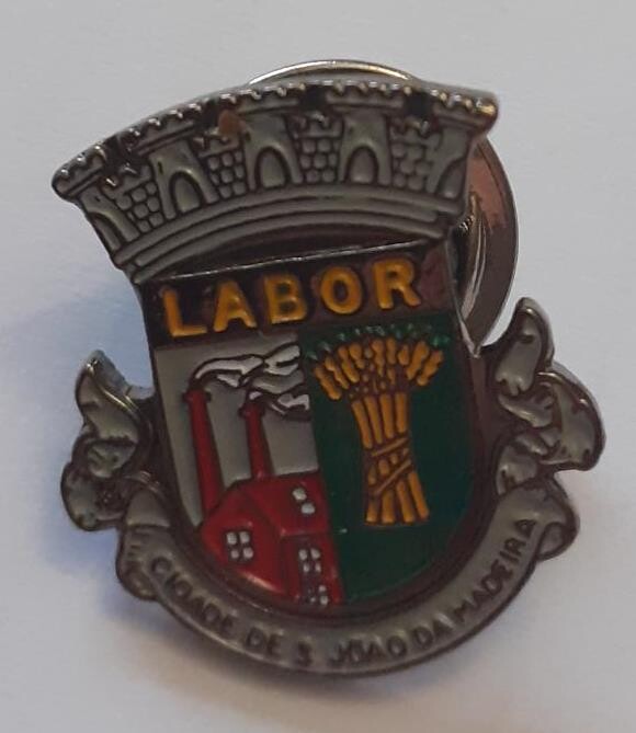 pin_brasao_sj_madeira.jpg