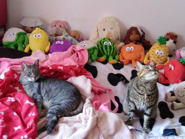 177305201_3013101305628660_7768796407794190696_n.j