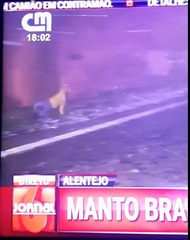 Captura de ecrã de 2021-01-10 15-26-06.jpg