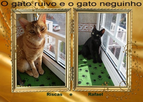 ruivo-e-neguinho.jpg