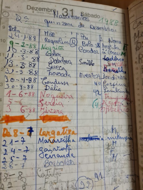 20210128_202104.jpg