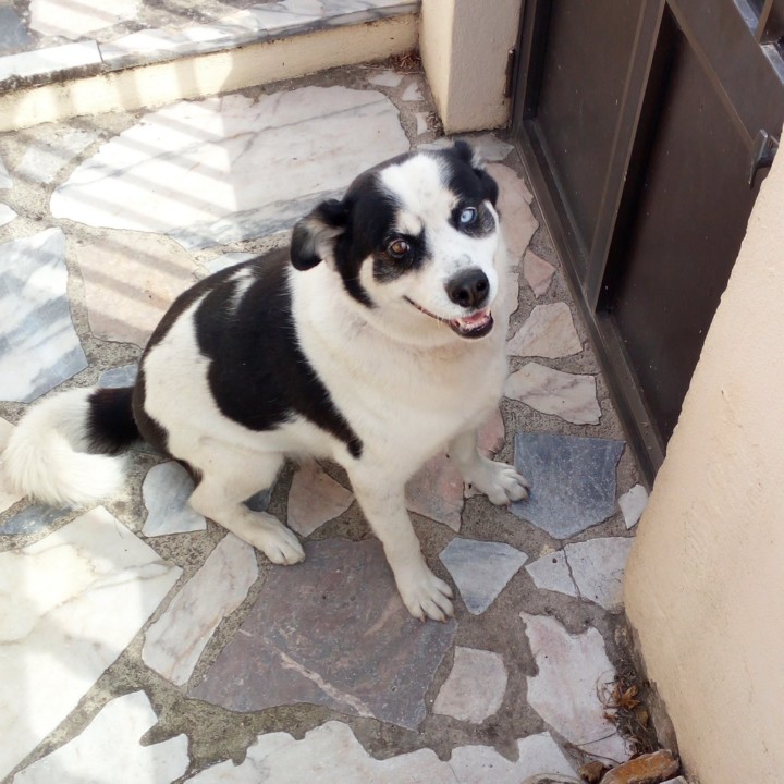 20191006_154312.jpg