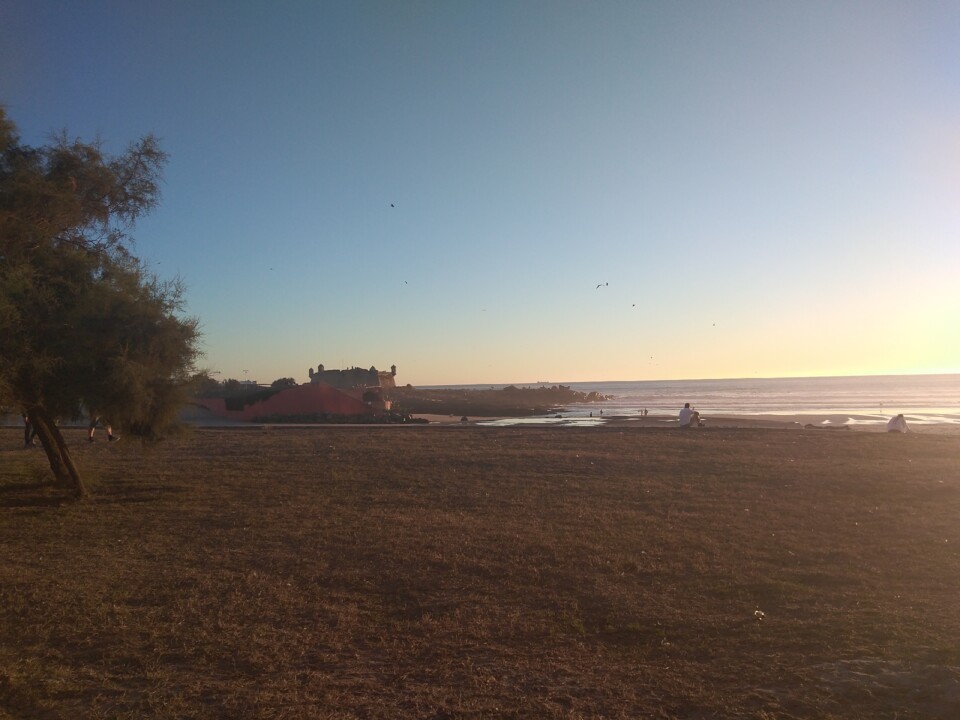 Matosinhos7.jpg