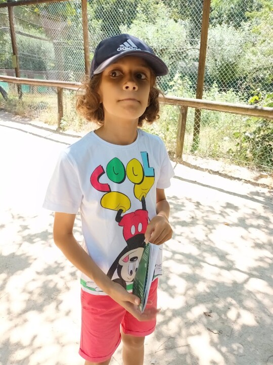 Não me canso disto_zoo2.jpg