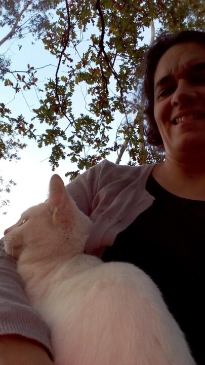Não me canso disto_gato6.jpg