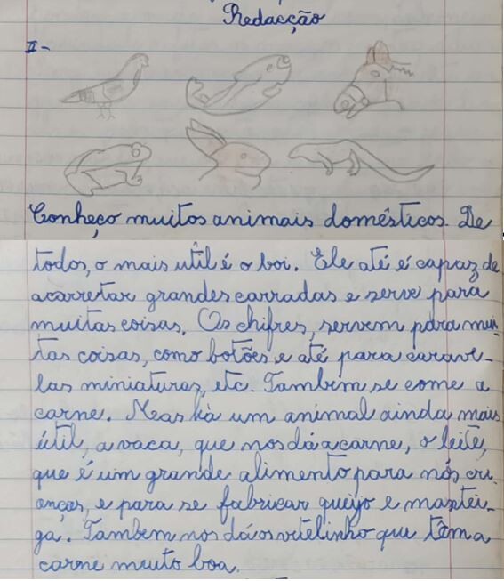 Animais_domesticos.JPG