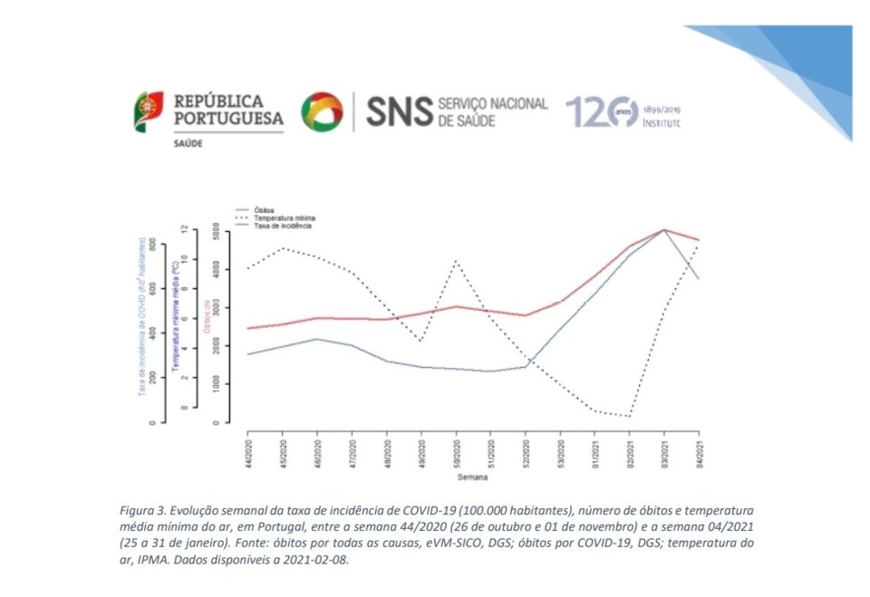 insa mort.jpg insa mort.jpg