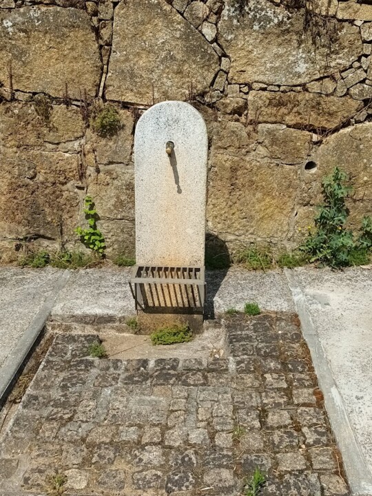 Não me canso disto_Canedo6.jpg