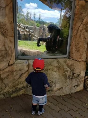 Primeira visita ao Jardim Zoológico de Lisboa