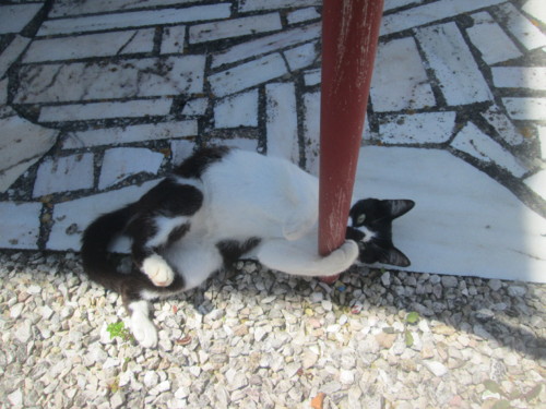 IMG_5915.JPG IMG_5915.JPG