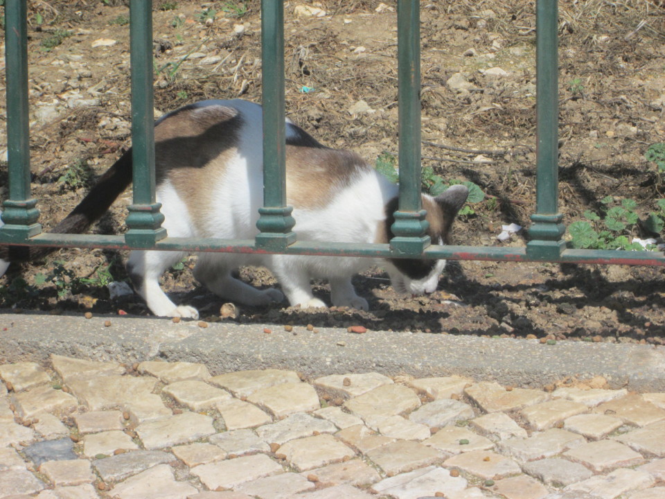 IMG_7392.JPG IMG_7392.JPG