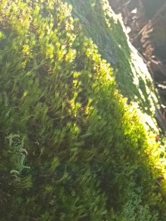 Não me canso disto Inverno 4.jpg