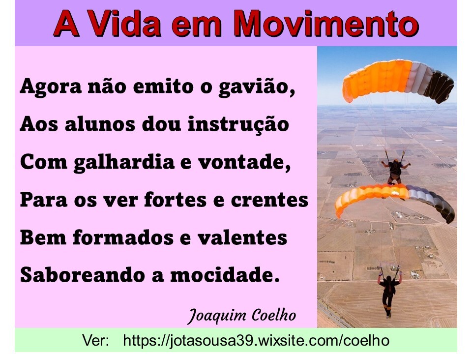 ......Coelho-Vidas em Movimento1.jpg